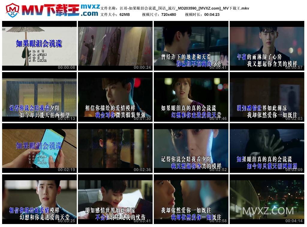 汪哥-如果眼泪会说谎_国语_流行_MD203590